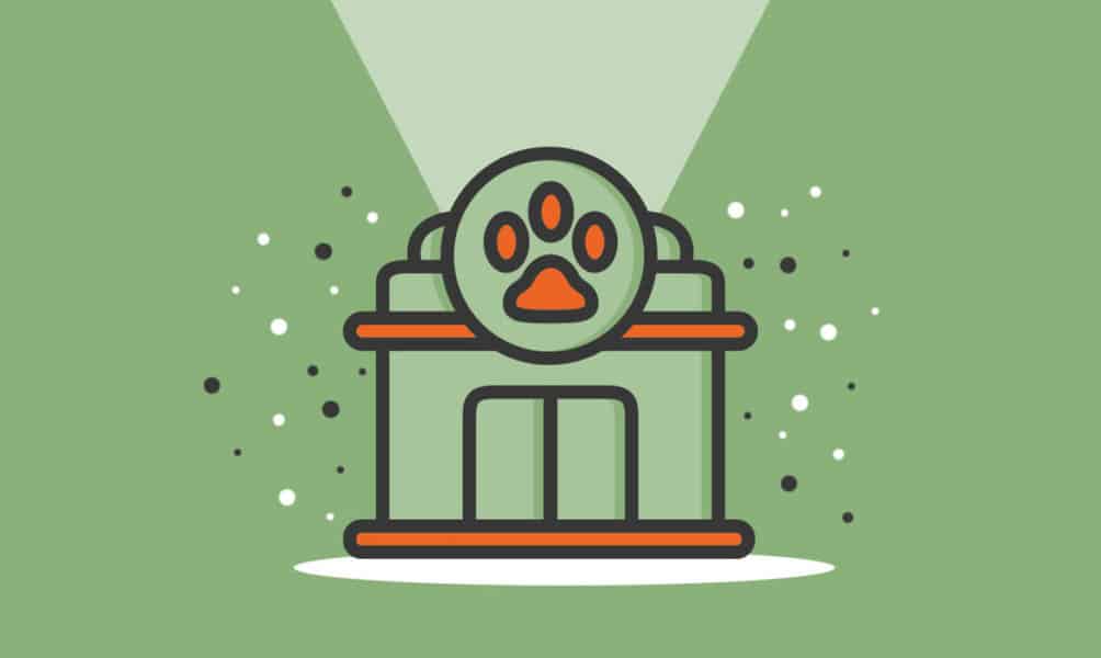 How to Open a Pet Store: Cost, Location and Profit Potential