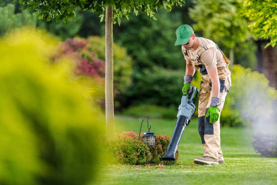 How to Start a Lawn Care Business