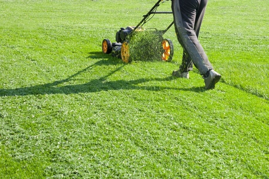 Lawn Care Business