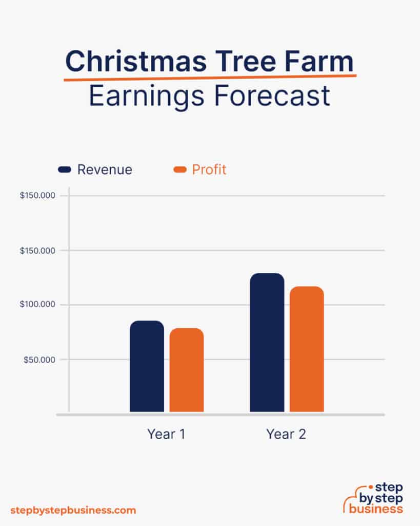 From Seed to Sale Opening a Christmas Tree Farm