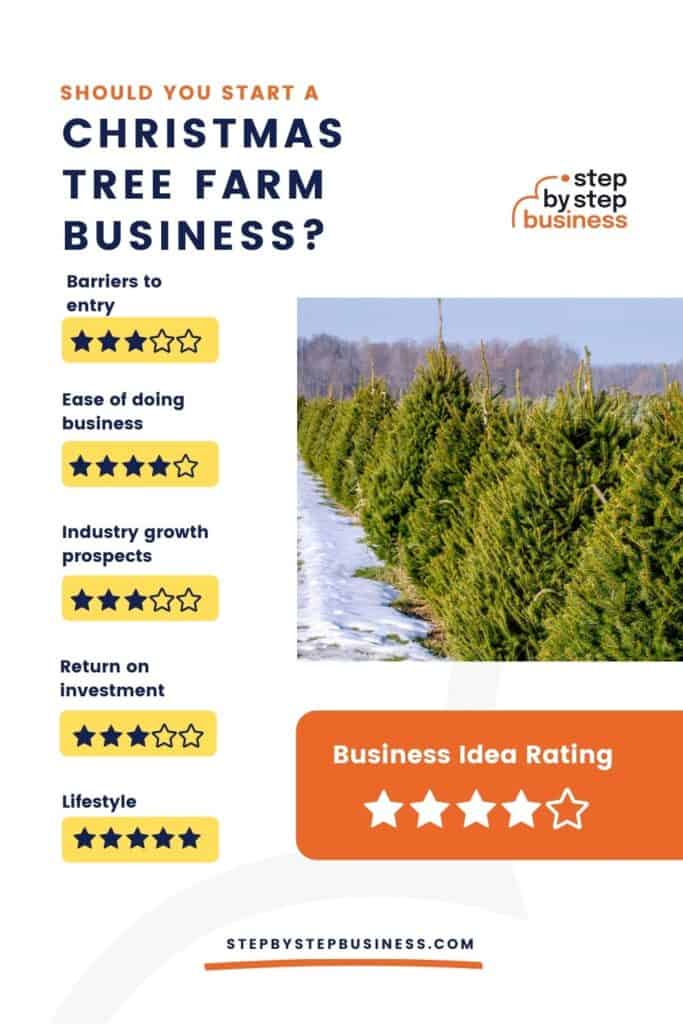 How To Start A Christmas Tree Farm - Step By Step Business