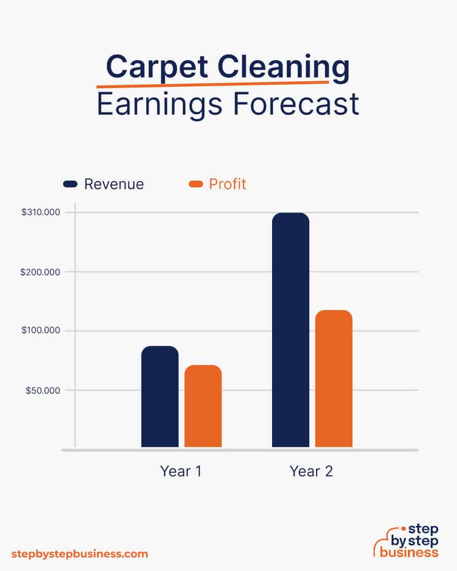 Carpet Cleaning business earnings forecast
