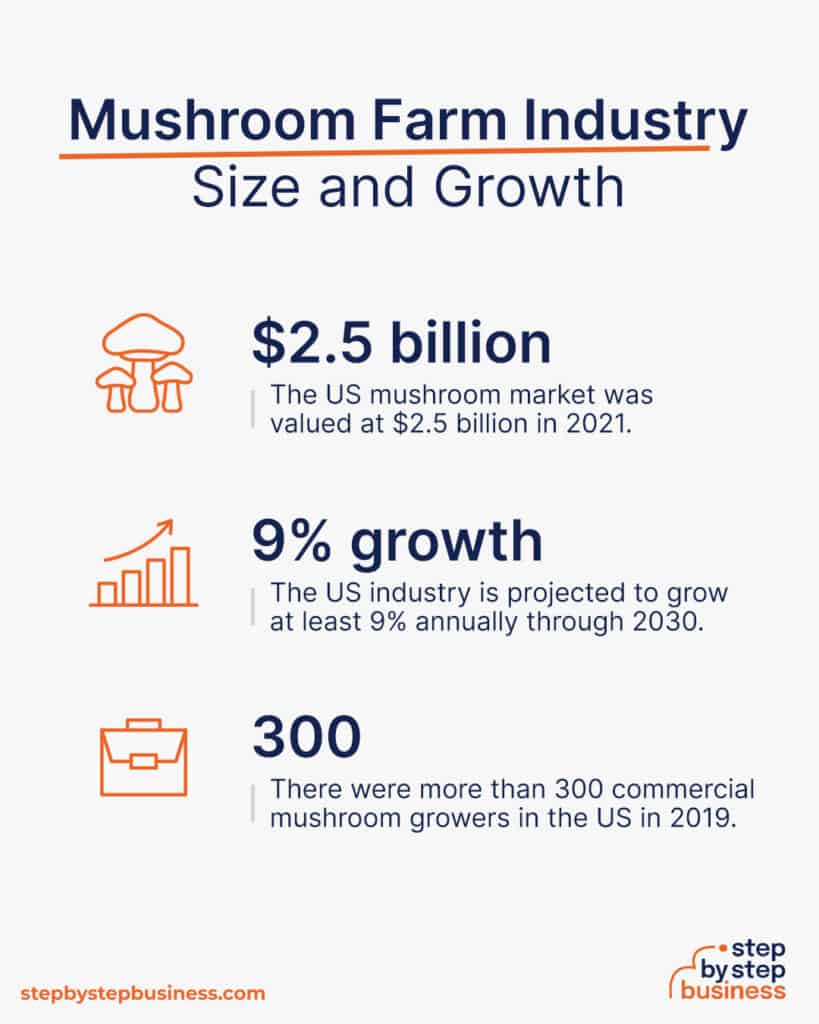 The Path to a Flourishing Mushroom Farming Business