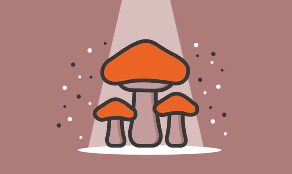 From Spores to Sales: Starting a Mushroom Farm