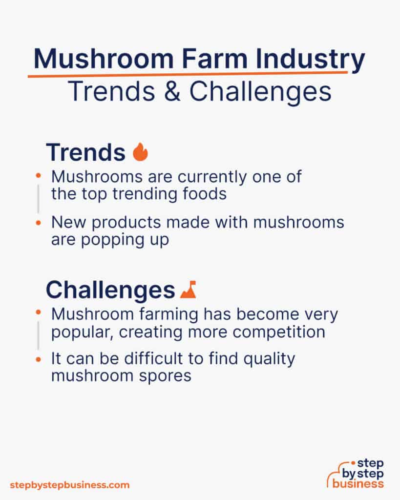 The Path to a Flourishing Mushroom Farming Business