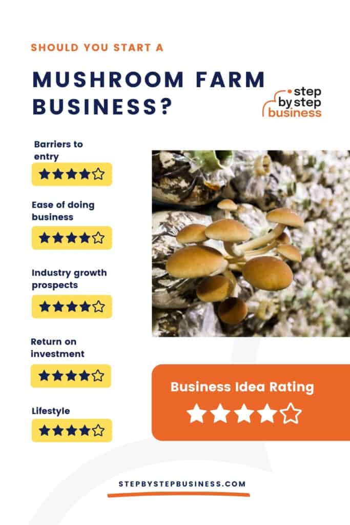 How to Start a Mushroom Farm in 2022 Step By Step Business