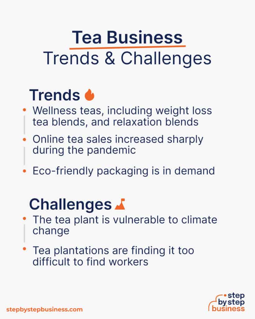 How to Start a Profitable Tea Business in 13 Steps