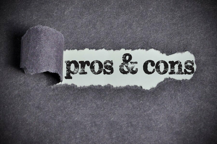 pros and cons word for business