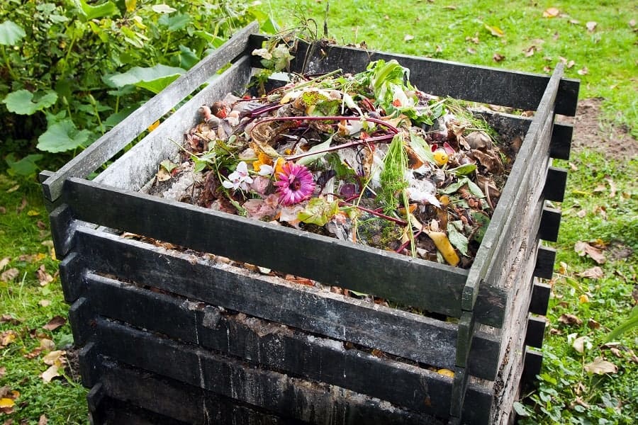 Composting Business
