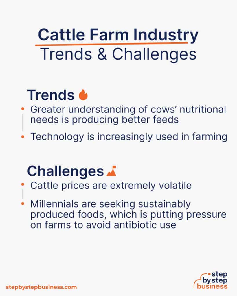 Livestock Ventures Starting a Cattle Farm in 2024