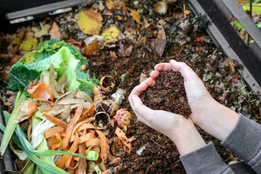 How to Start a Composting Business