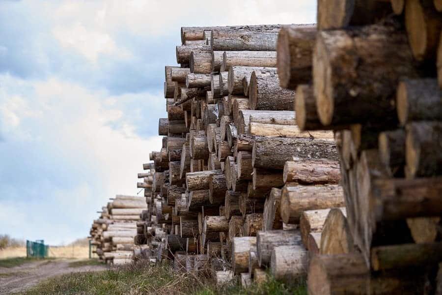 How to Start a Logging Business