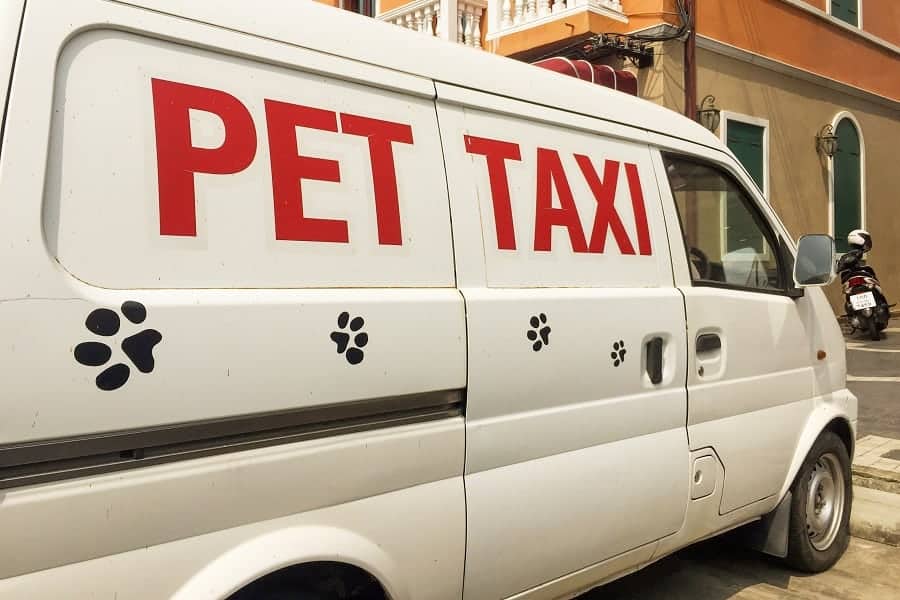 How to Start a Pet Taxi Business