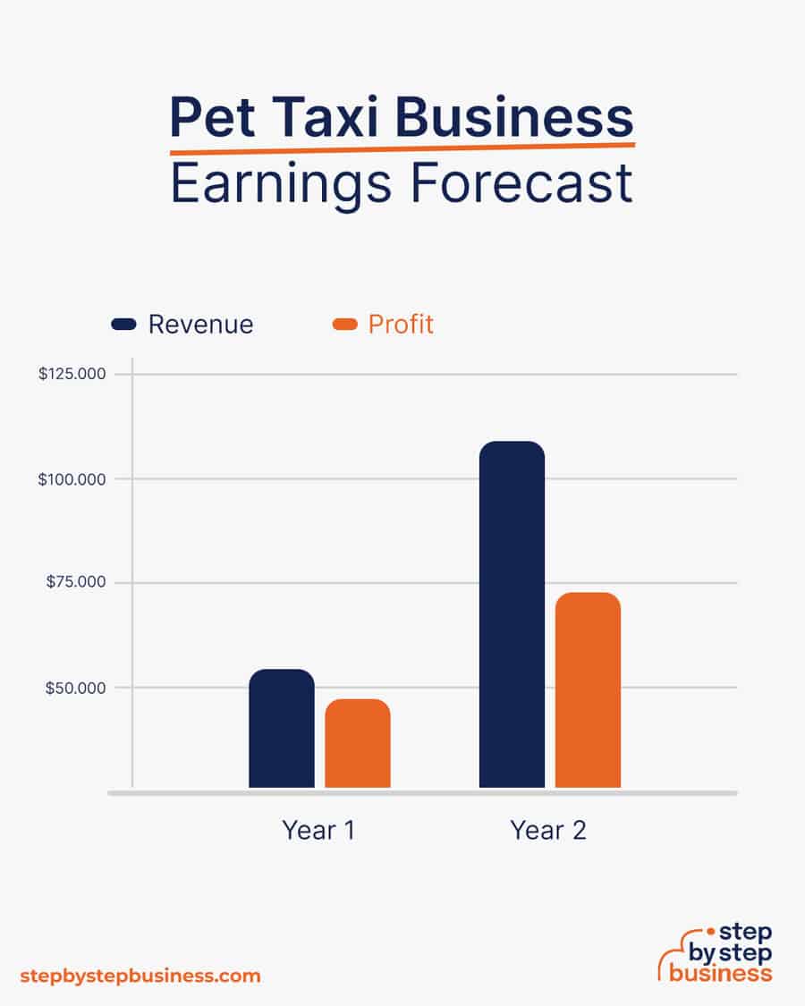 pet taxi business earnings forecast