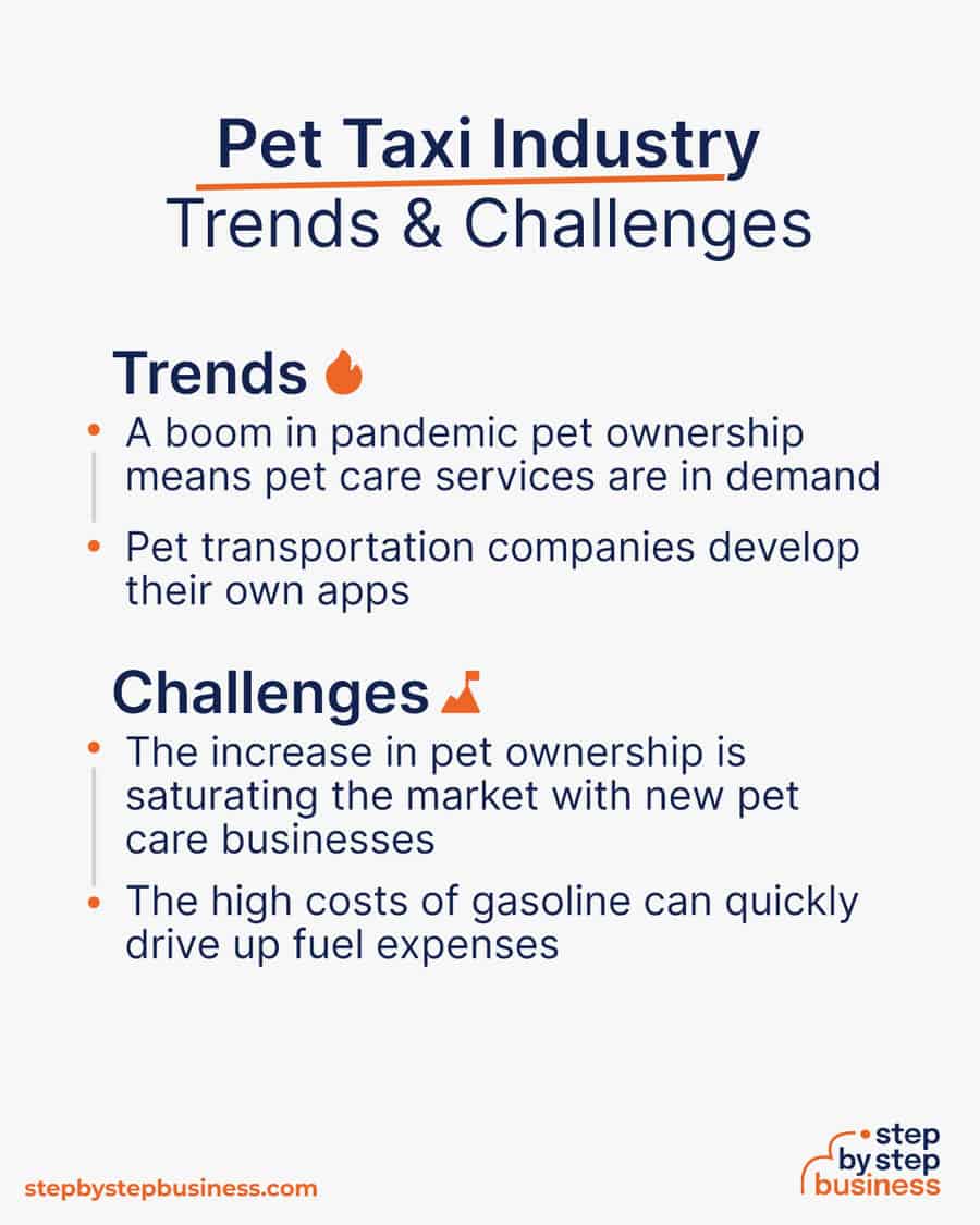 pet taxi Trends and Challenges