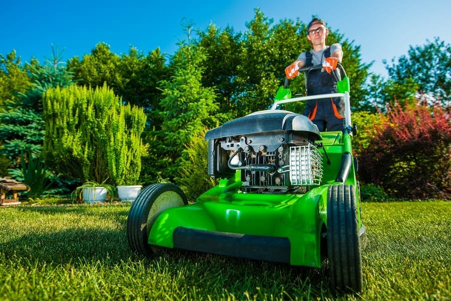 Lawn Care business