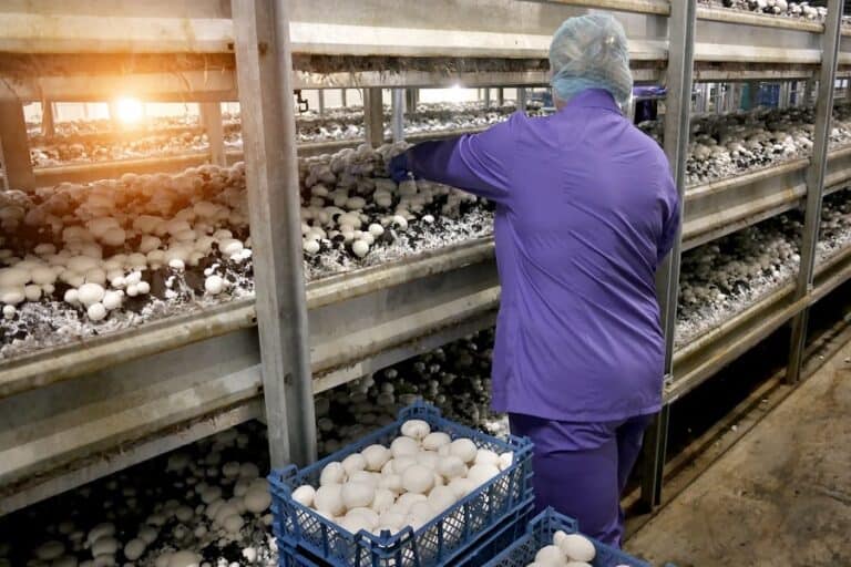 22 Backyard Business Ideas to Start in 2022 Step By Step Business