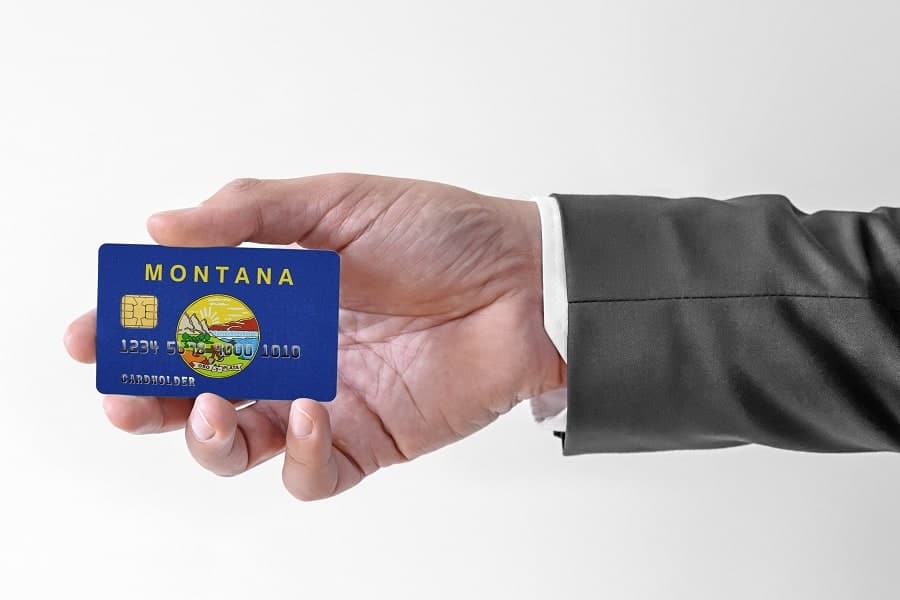 13 Best Business Ideas in Montana