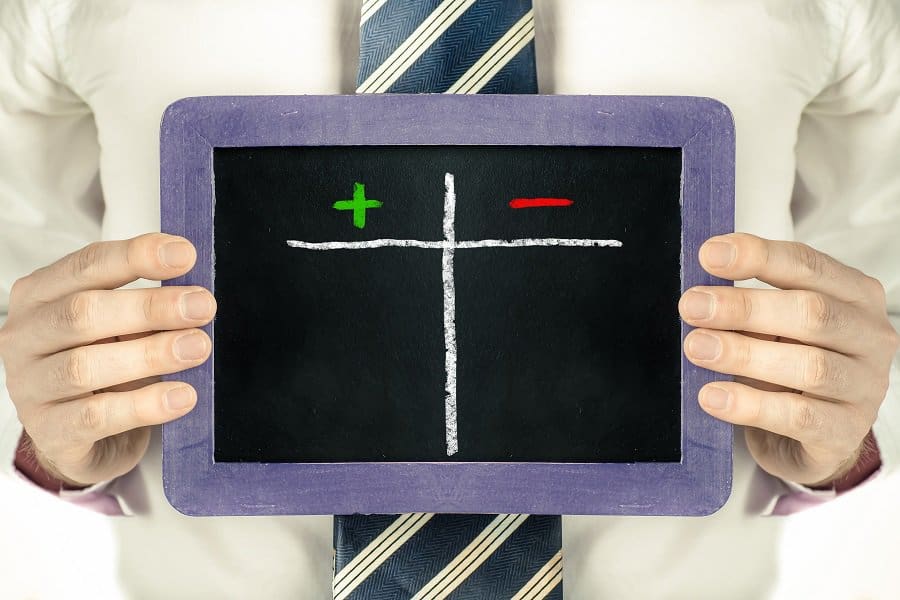 How to Start a Pet Taxi Business in 2022 Step By Step Business