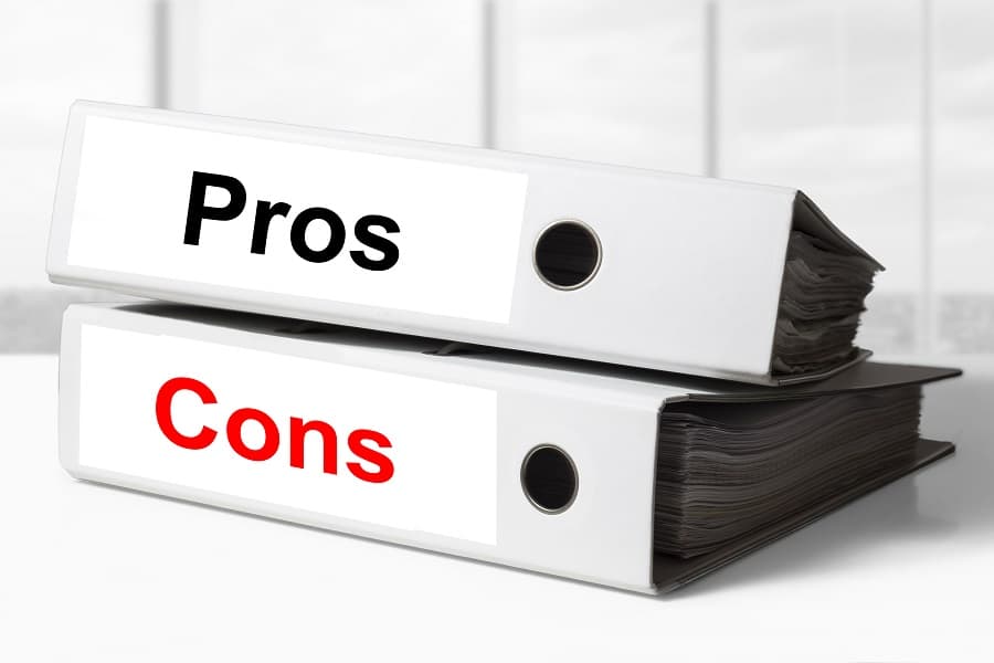 the pros and the cons document files