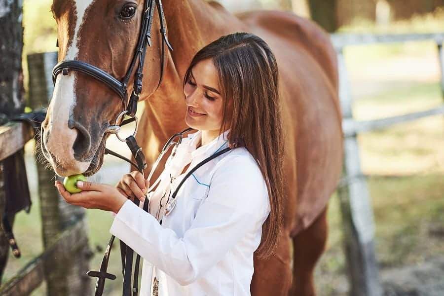 Equine Nutritionist Horse Business Ideas