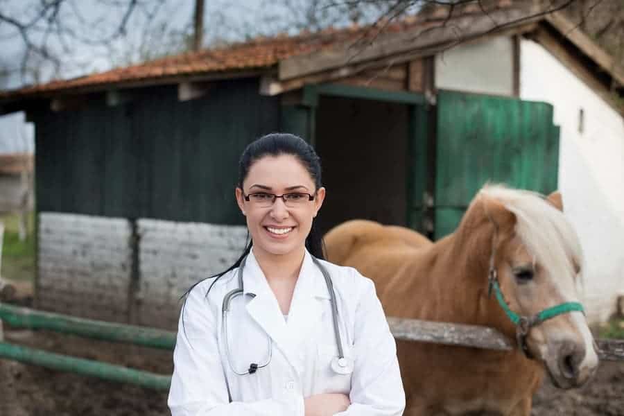 Equine Veterinary Practice Business Ideas