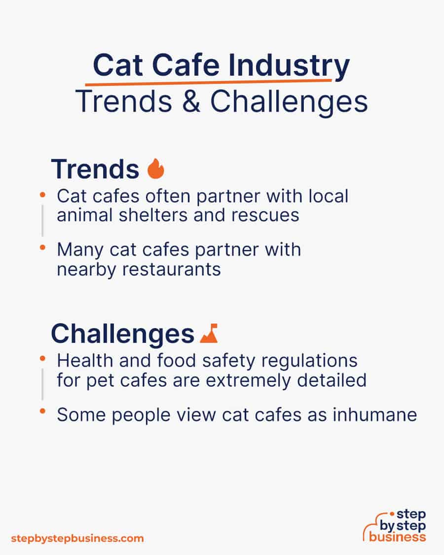 cat cafe Trends and Challenges