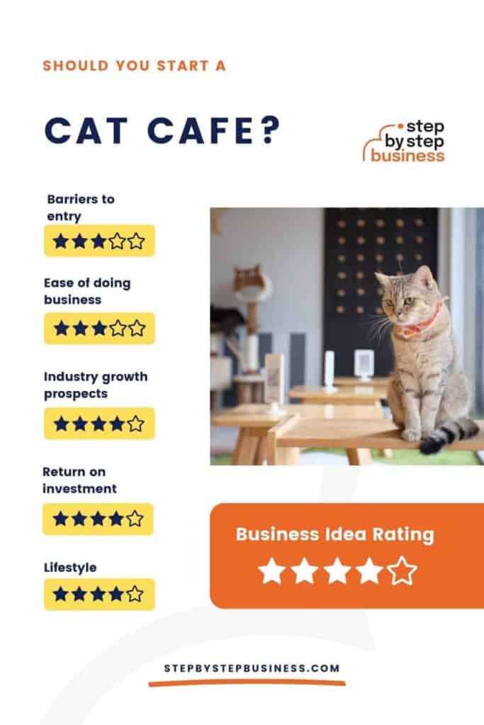 How to Start a Cat Cafe in 2022 Step By Step Business