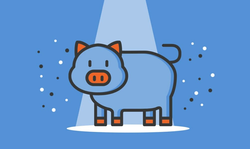 pig farm business idea
