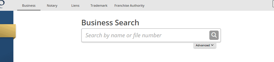 Idaho Business Entity Search Form