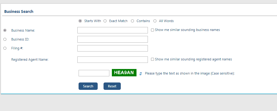 New Hampshire Business Entity Search Form