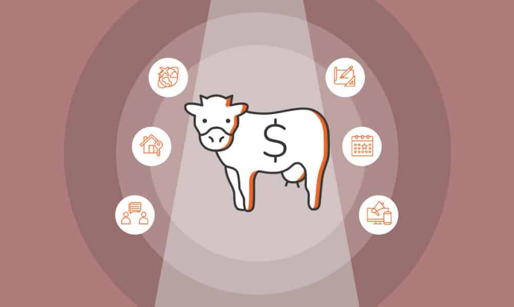 12 Cash Cow Business Ideas