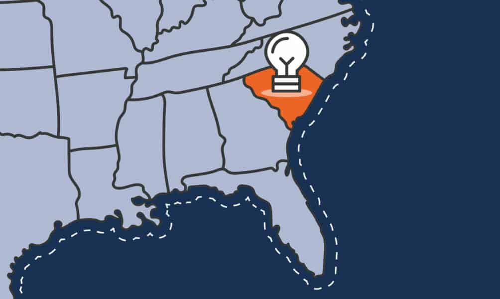 18 Best Business Ideas to Start in South Carolina