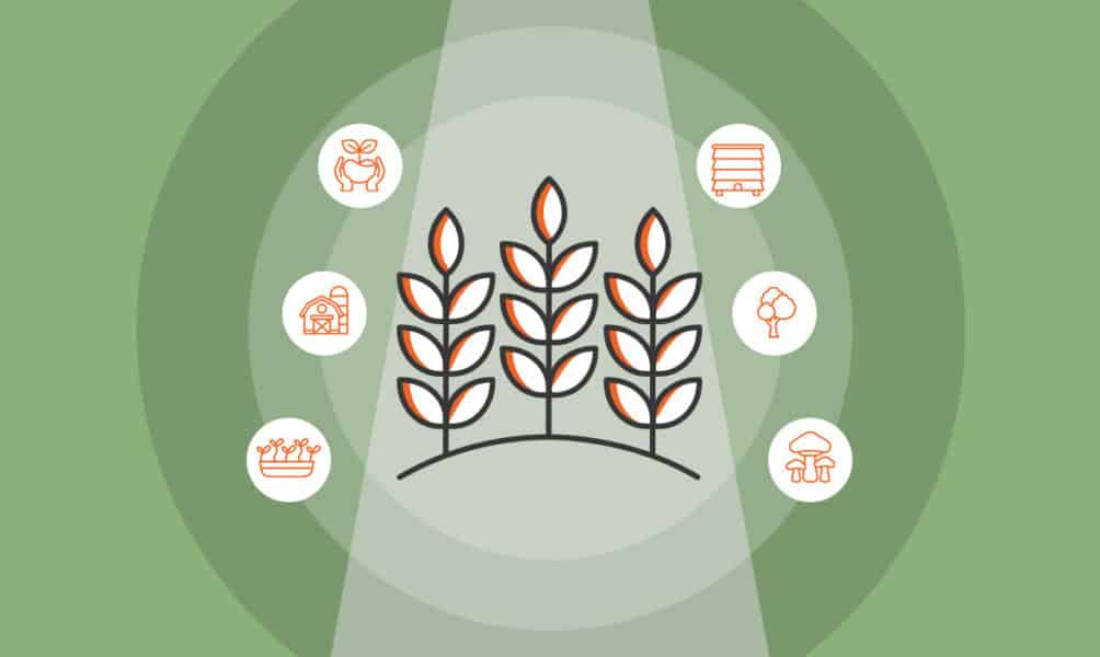 19 Profitable Agriculture Business Ideas
