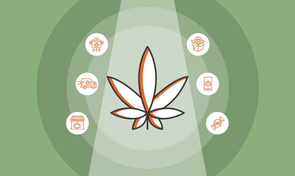 14 Best Cannabis Business Ideas