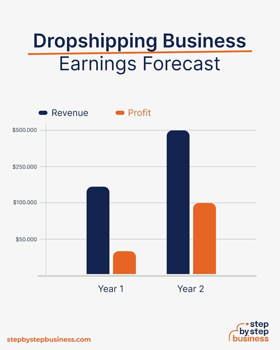 Dropshipping Business earning forecast