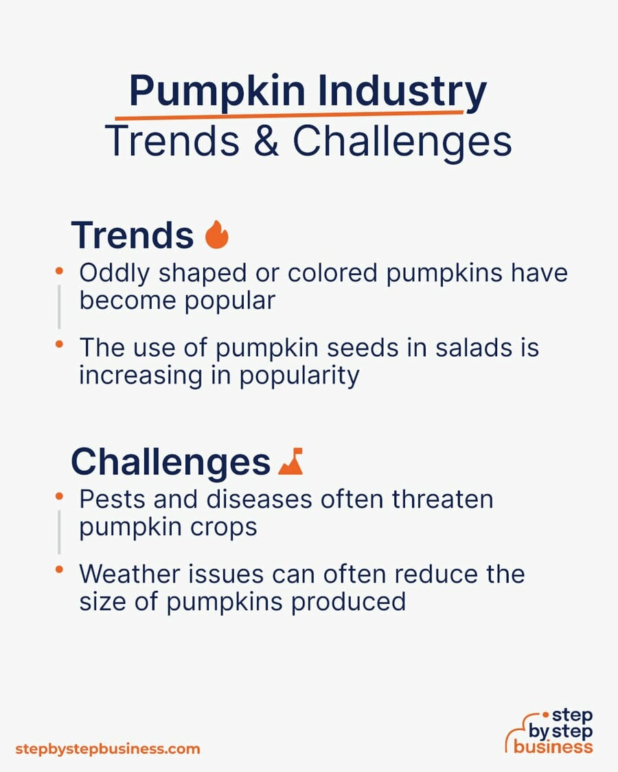 Pumpkin Industry Trends and Challenges