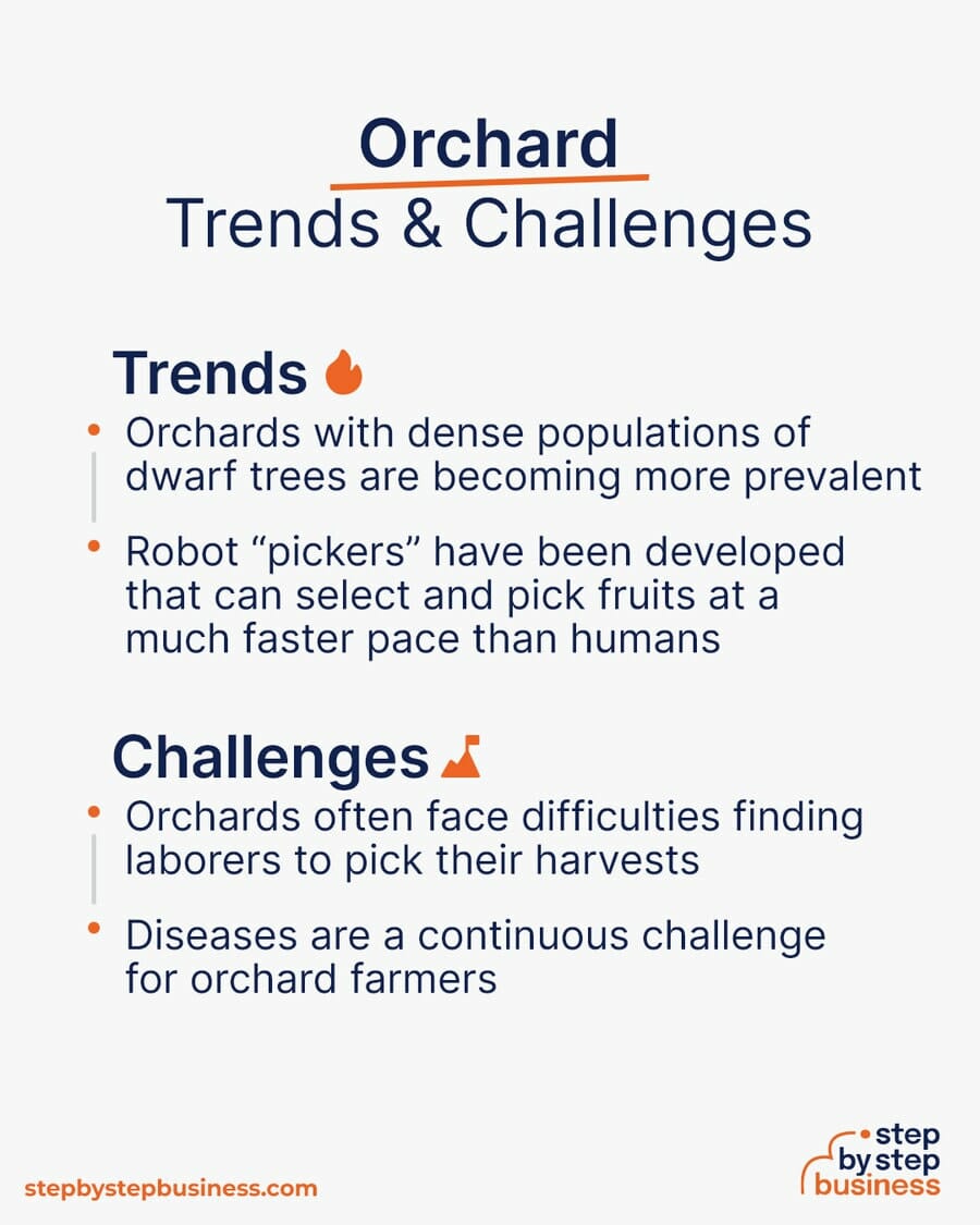 Orchard Trends and Challenges
