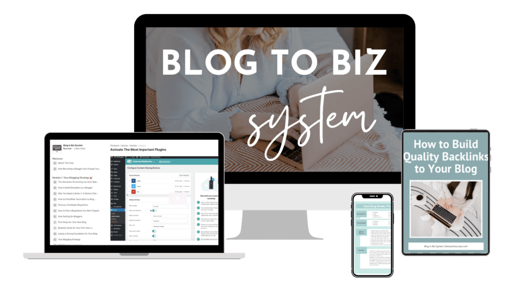 Blog to Biz System 