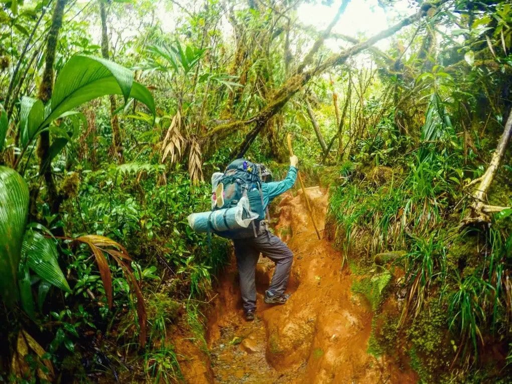 Trekking in Venezuela