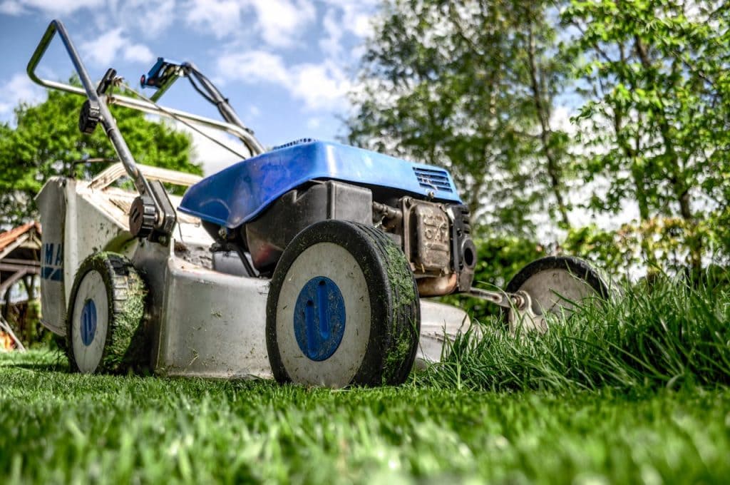 Spare Parts vs. Big Equipment: Which Business Model Brings Higher Profit in the Home and Garden Market?